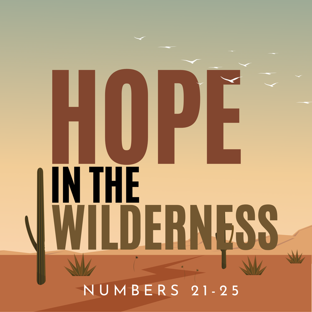 Hope in the Wilderness
